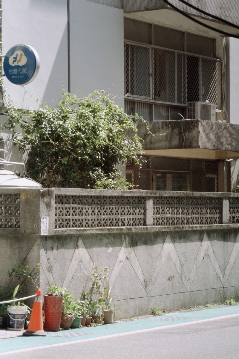 Urban wall and foliage in restrained FXNR film grade